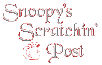 Snoopy's Scratchin' Post title